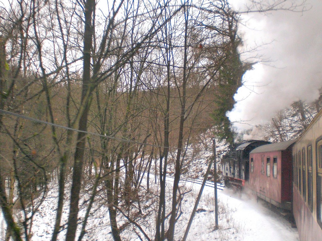 Unterwegs im Selketal im Dezember 2009