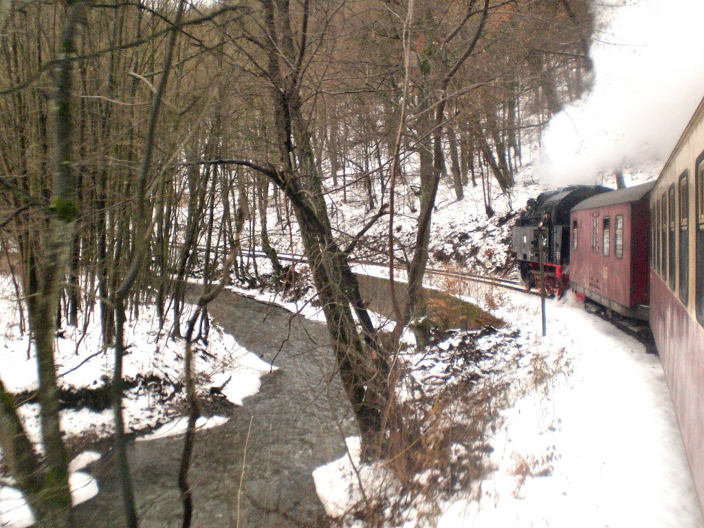 Unterwegs im Selketal, Dezember 2009