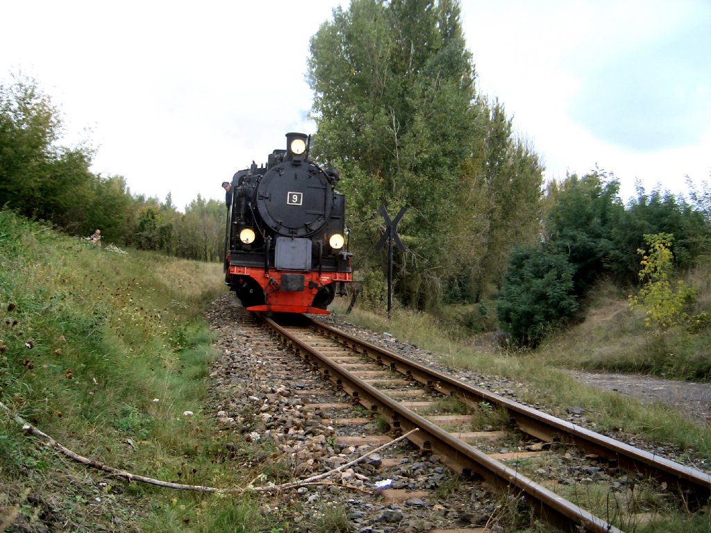 Zug bei Hettstedt, Okktober 2005