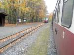 Selketalbahn/101264/begegnung-mit-dem-hsb-triebwagen--oktober Begegnung mit dem HSB-Triebwagen , Oktober 2010